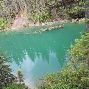 Meet your Posher, Dustin